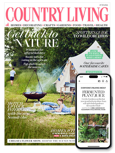 Country Living subscription (Print + Digital)